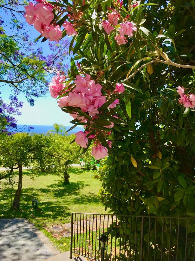 Tenuta Jacaranda Piedimonte Etneo Dış mekan fotoğraf